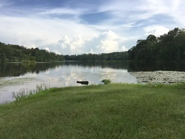 Hotels in Hale County