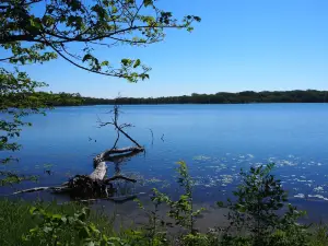 Maplewood State Park