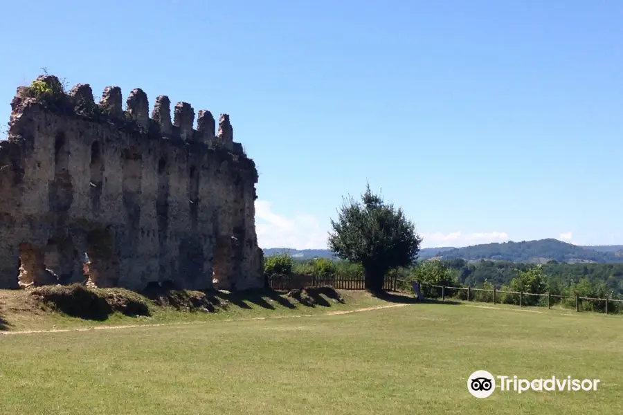 Site Médiéval du couvent des Carmes