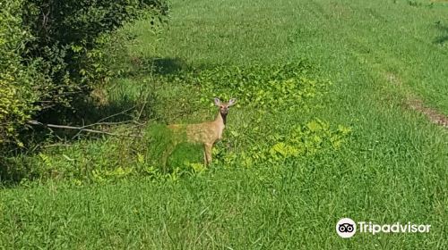 Iroquois National Wildlife Refuge