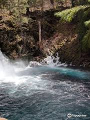 McKenzie River Trail