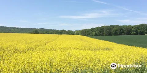 Naturparkzentrum Stromberg-Heuchelberg