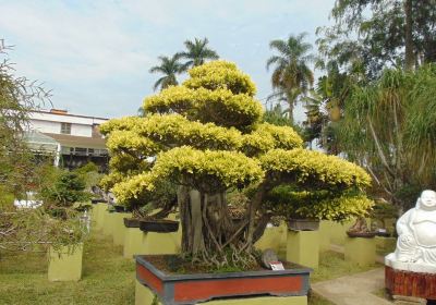 Fortín de las Flores