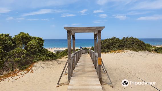 Playa de la Barrosa