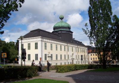 Museum Gustavianum