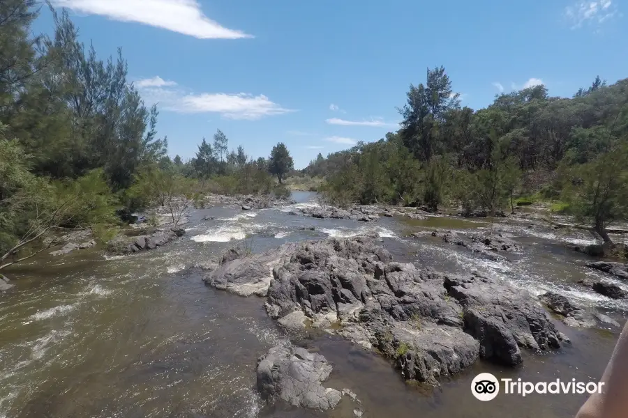 Pine Island Reserve