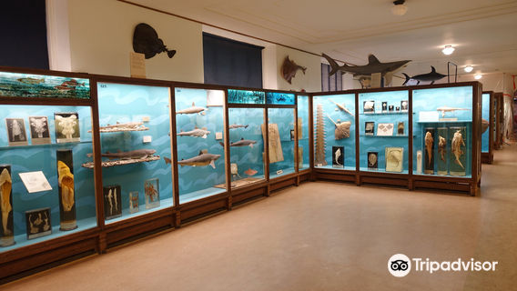 Gothenburg Museum of Natural History