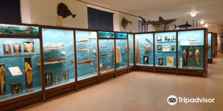 Gothenburg Museum of Natural History