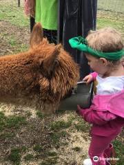 LAST PENNY FARM ALPACAS