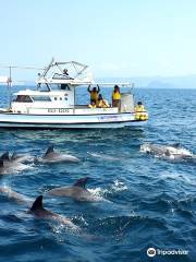 Kazusa Dolphin Watching