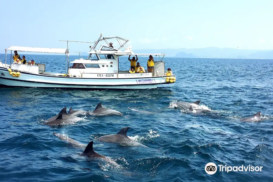 Kazusa Dolphin Watching