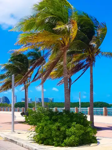 Hotels near Malecon Tajamar