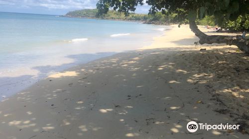 Cramer Park Beach