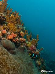 Raya Divers Krabi