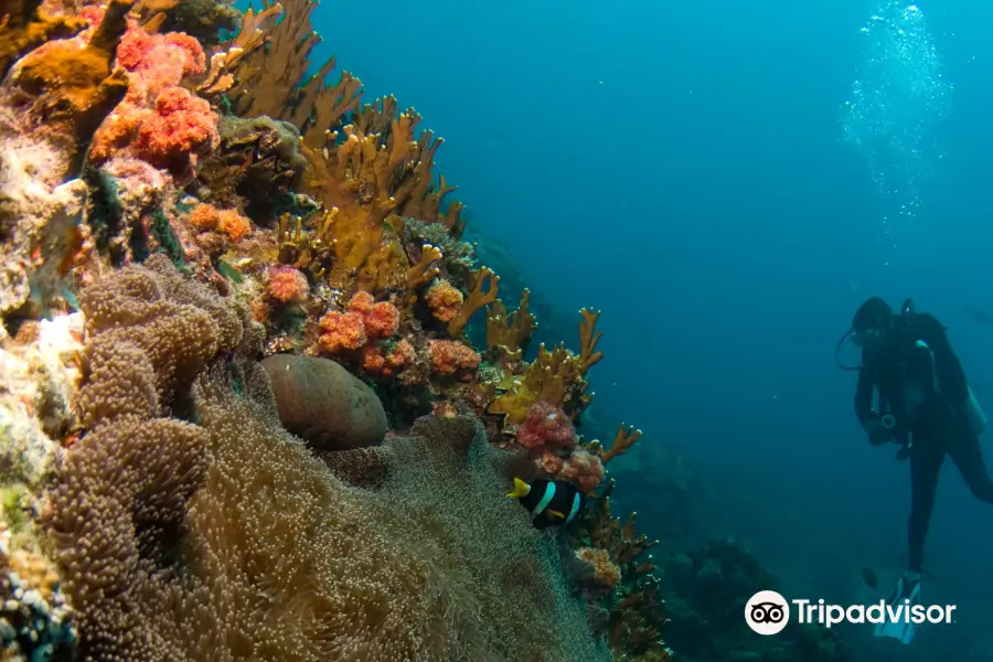 Raya Divers Krabi