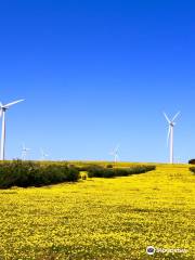 Emu Downs Wind Farm