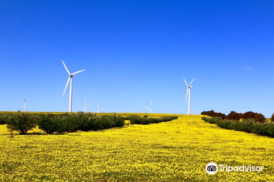 Emu Downs Wind Farm