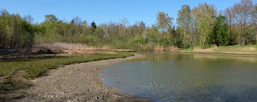 Sandteich