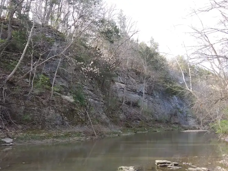 Hotels in Three Creeks Township