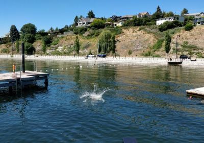 Gellatly Bay Aquatic Park