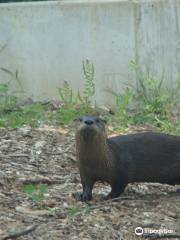 Ochsner Park Zoo