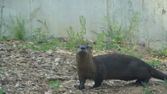 Ochsner Park Zoo