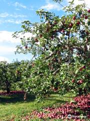 Apple Barrel Orchards