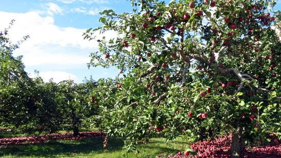 Apple Barrel Orchards