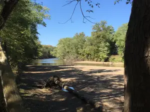Forest Glen Preserve