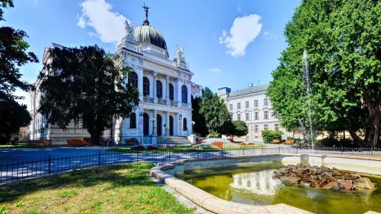 Silesian Museum