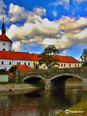 Castle Březnice