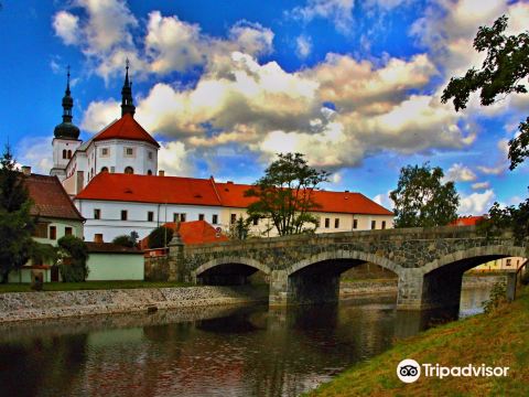 Castle Březnice