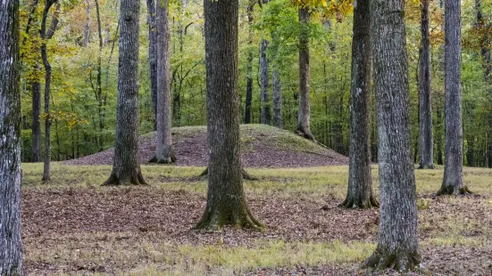 Shiloh Indian Mounds National Historic Landmark