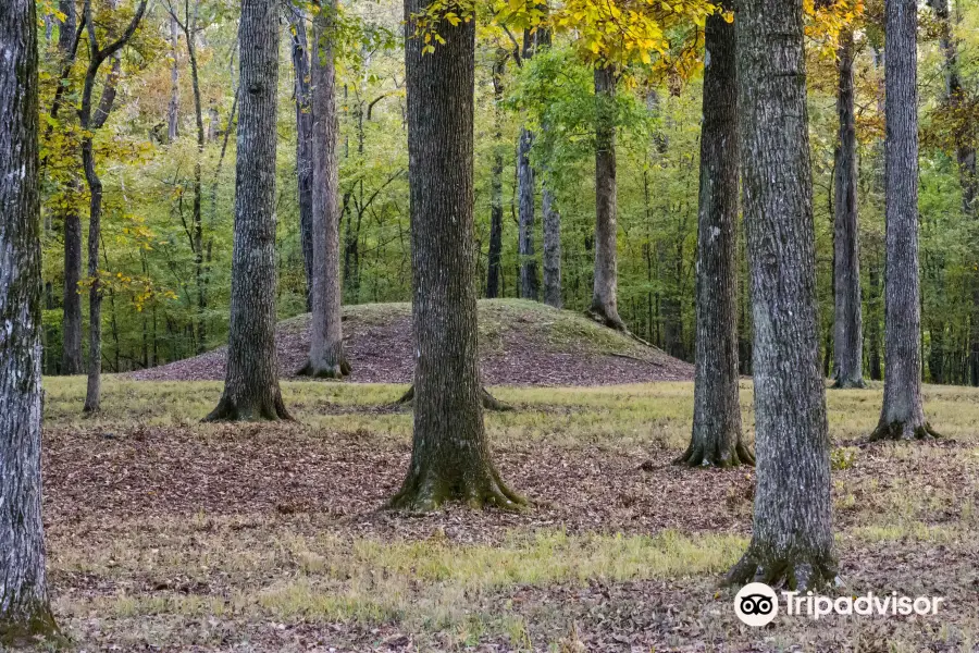 Shiloh Indian Mounds National Historic Landmark