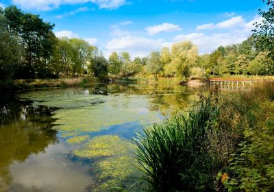 Parc de la Tuilerie