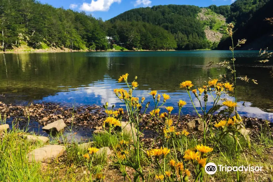 Santo Lake