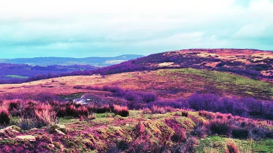 Cwm Clydach Walk