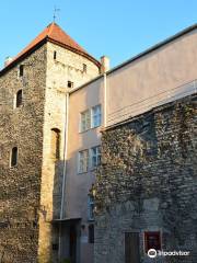 Estonian Theatre and Music Museum