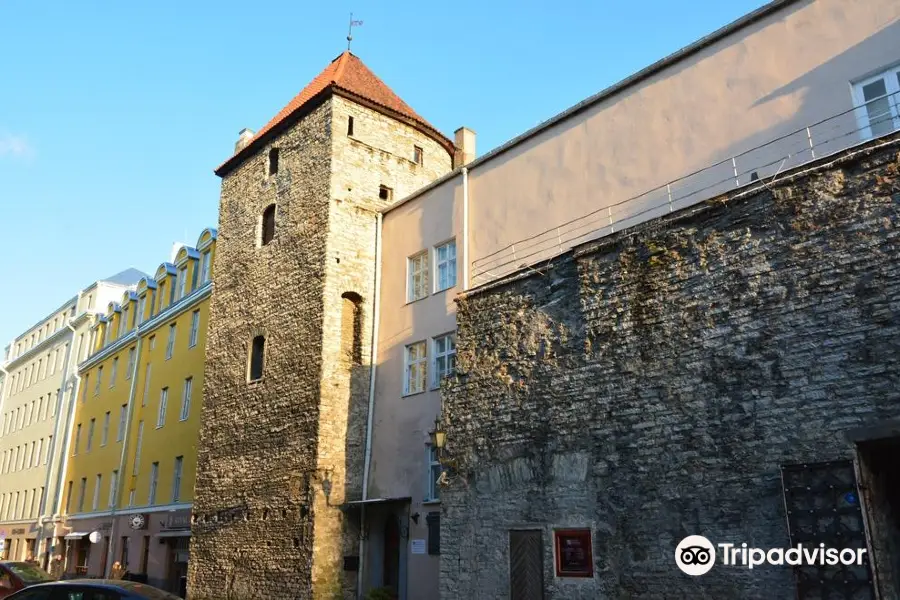 Estonian Theatre and Music Museum