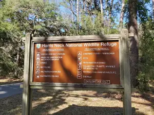 Harris Neck National Wildlife Refuge