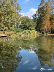 LSU Hilltop Arboretum