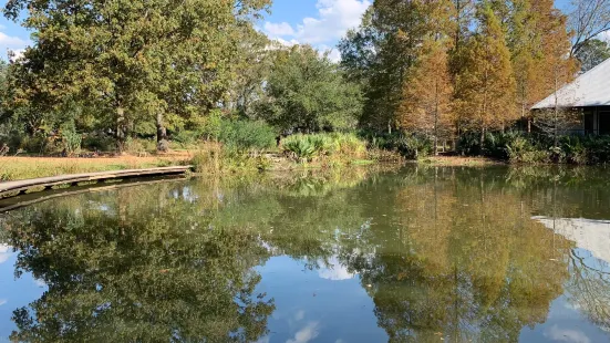 LSU Hilltop Arboretum