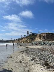 Tourmaline Surfing Park