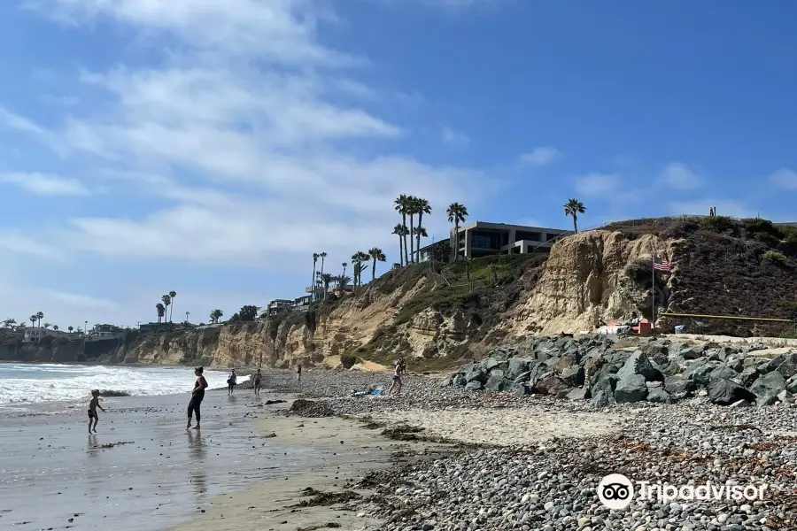 Tourmaline Surfing Park