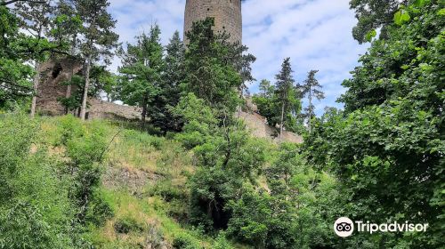 Žebrák castle