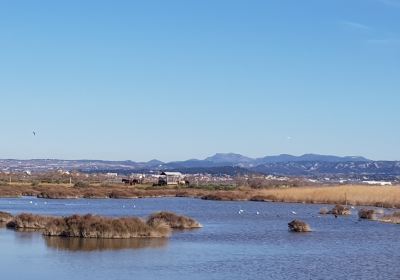 Site naturel protege de l'etang de Bolmon