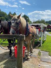 Gentle Giants Sleigh Rides & Carriage Rides