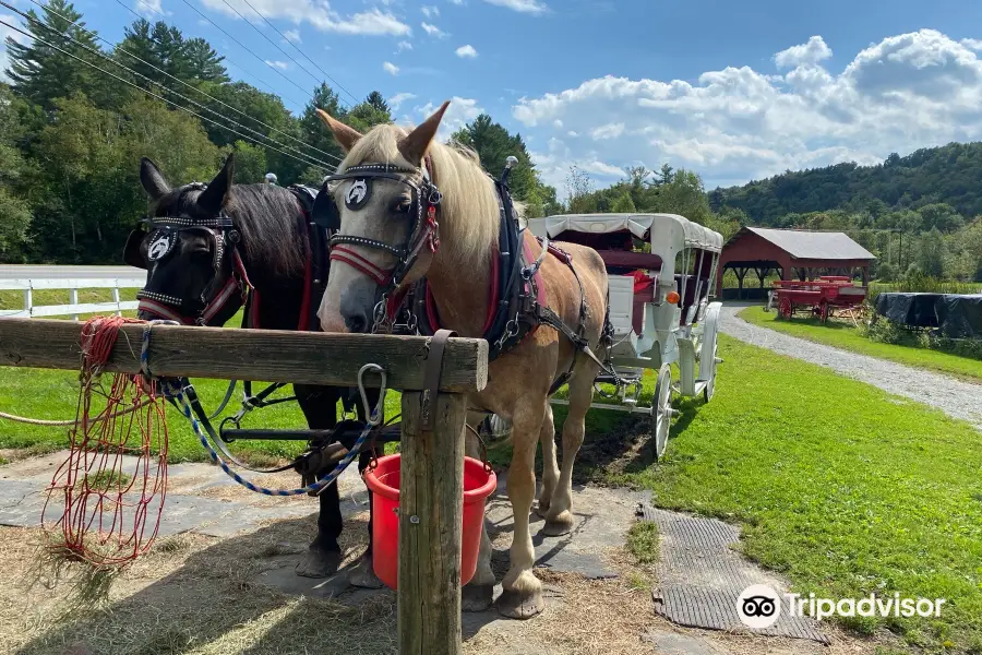 Gentle Giants Sleigh Rides & Carriage Rides