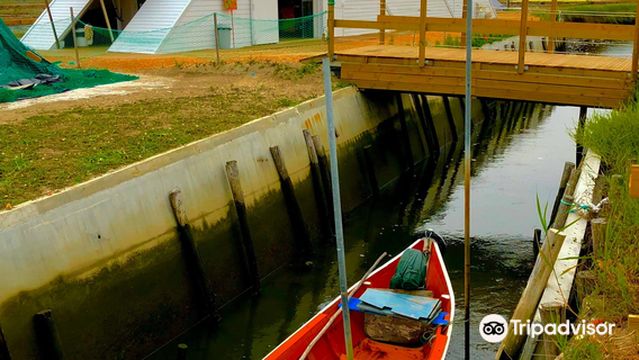 Marinha da Noeirinha