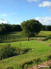 Bluebell Vineyard Estates Ltd